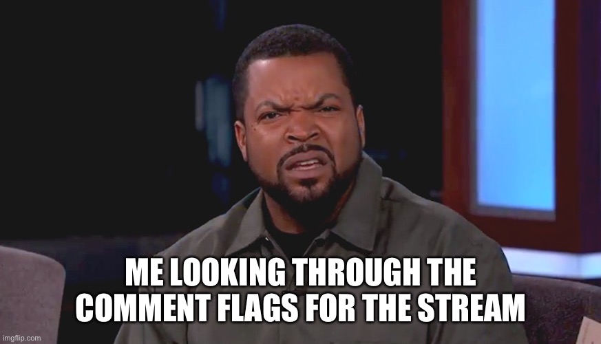 Really? Ice Cube | ME LOOKING THROUGH THE COMMENT FLAGS FOR THE STREAM | image tagged in really ice cube | made w/ Imgflip meme maker