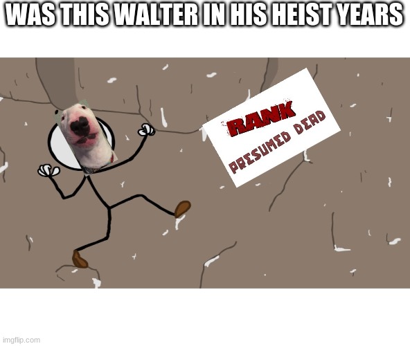 WAS THIS WALTER IN HIS HEIST YEARS | image tagged in walterlore | made w/ Imgflip meme maker