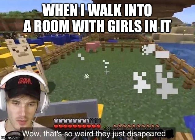 They just disappeared | WHEN I WALK INTO A ROOM WITH GIRLS IN IT | image tagged in they just disappeared | made w/ Imgflip meme maker
