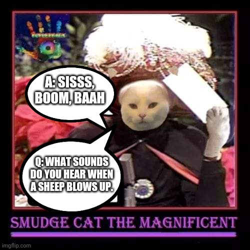 A: SISSS, BOOM, BAAH; Q: WHAT SOUNDS DO YOU HEAR WHEN A SHEEP BLOWS UP. | image tagged in smudge the cat | made w/ Imgflip meme maker