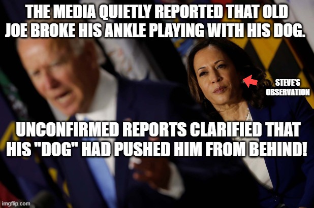 politics | STEVE'S OBSERVATION | image tagged in political meme | made w/ Imgflip meme maker