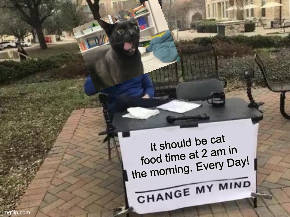 I am cat | It should be cat food time at 2 am in the morning. Every Day! | image tagged in memes,change my mind,cat,cat food | made w/ Imgflip meme maker