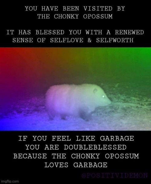 my mom sent me this earlier | image tagged in possum,garbage,blessed | made w/ Imgflip meme maker