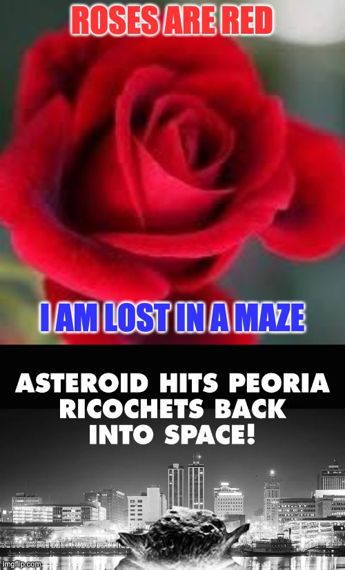 ROSES ARE RED I AM LOST IN A MAZE | image tagged in roses are red | made w/ Imgflip meme maker