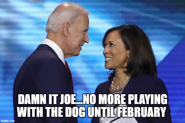 Joe The Dog Whisperer | DAMN IT JOE...NO MORE PLAYING WITH THE DOG UNTIL FEBRUARY | image tagged in biden | made w/ Imgflip meme maker