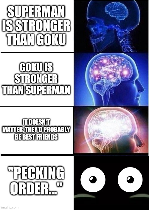 Expanding Brain Meme | SUPERMAN IS STRONGER THAN GOKU; GOKU IS STRONGER THAN SUPERMAN; IT DOESN'T MATTER, THEY'D PROBABLY BE BEST FRIENDS; "PECKING ORDER..." | image tagged in memes,expanding brain | made w/ Imgflip meme maker