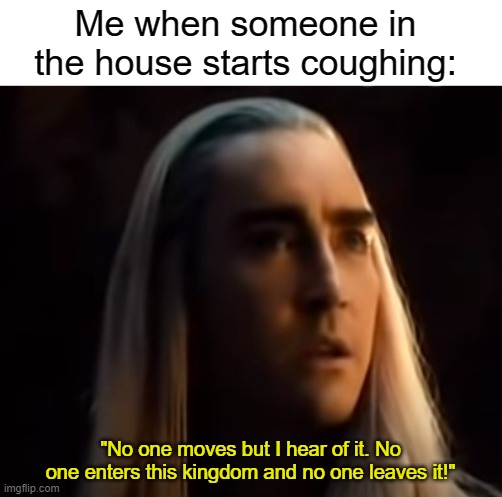 "Close the gate! Keep it sealed, by order of the King!" | Me when someone in the house starts coughing:; "No one moves but I hear of it. No one enters this kingdom and no one leaves it!" | image tagged in blank white template,thranduil,the hobbit,elf,covid-19,quarantine | made w/ Imgflip meme maker