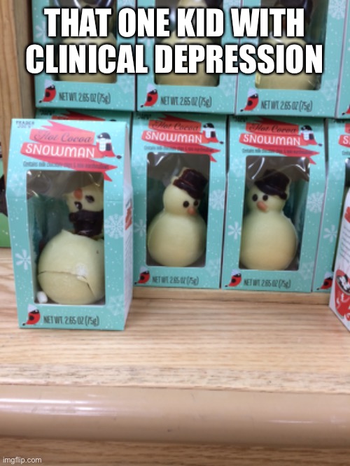 You didn’t read the title before the picture (probably) | THAT ONE KID WITH CLINICAL DEPRESSION | image tagged in snowman,depression | made w/ Imgflip meme maker