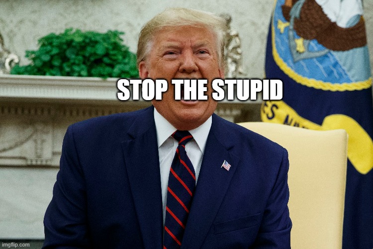 There Was NO Massive Voter Fraud - TRUMP LOST | STOP THE STUPID | image tagged in liar,shut up,conman,lunatic,delusional,cry baby | made w/ Imgflip meme maker