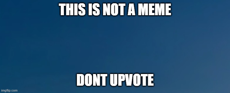 please dont | THIS IS NOT A MEME; DONT UPVOTE | image tagged in memes | made w/ Imgflip meme maker