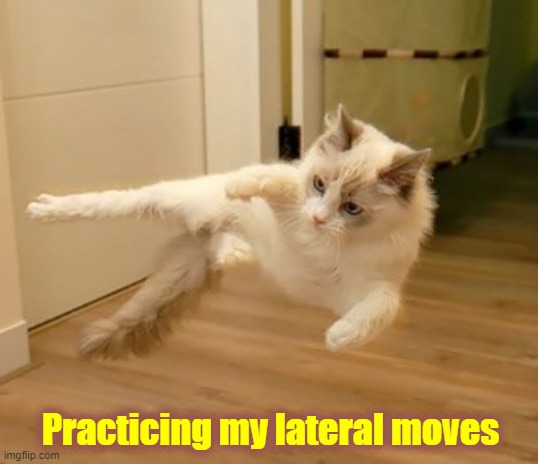 Sideways Cat | Practicing my lateral moves | image tagged in flying cat,cat aerobics,cat jumping,funny cats | made w/ Imgflip meme maker