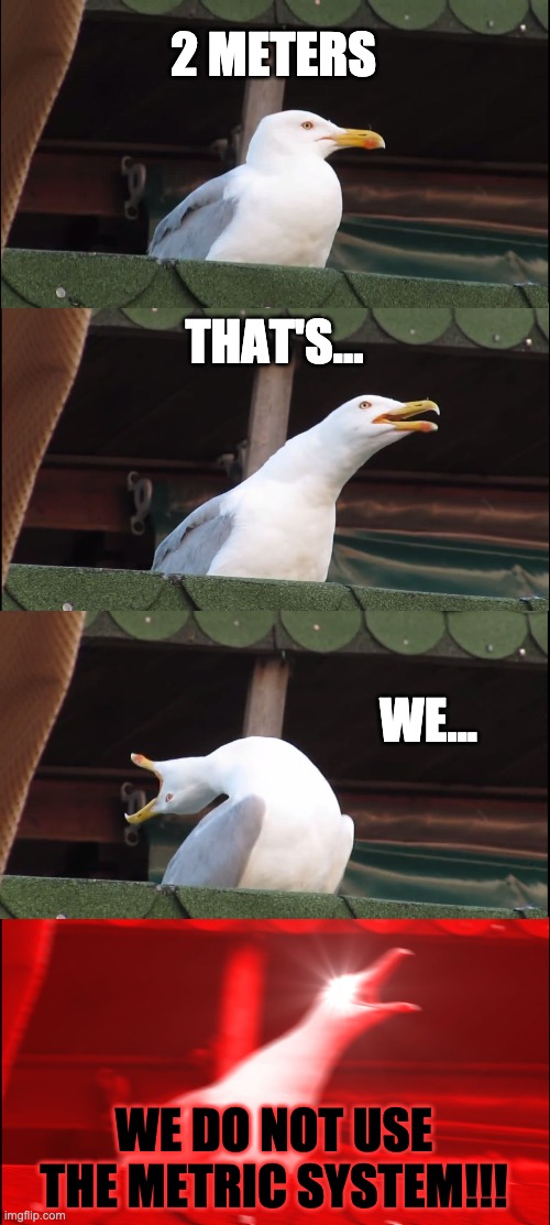 Inhaling Seagull Meme | 2 METERS THAT'S... WE... WE DO NOT USE THE METRIC SYSTEM!!! | image tagged in memes,inhaling seagull | made w/ Imgflip meme maker