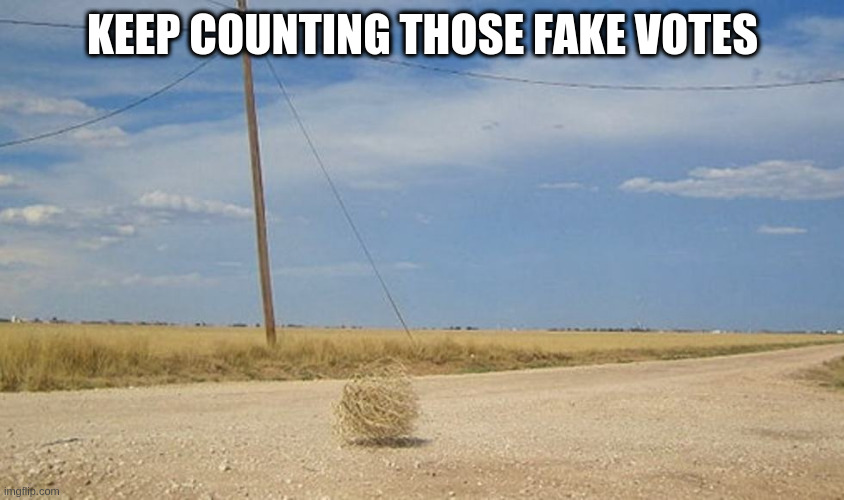 Tumbleweed | KEEP COUNTING THOSE FAKE VOTES | image tagged in tumbleweed | made w/ Imgflip meme maker