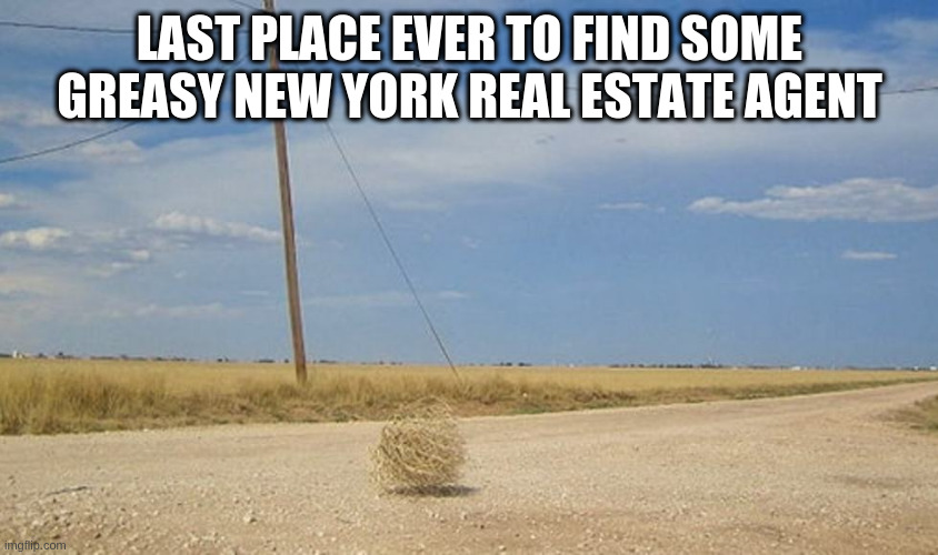 Tumbleweed | LAST PLACE EVER TO FIND SOME GREASY NEW YORK REAL ESTATE AGENT | image tagged in tumbleweed | made w/ Imgflip meme maker