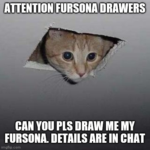 Ceiling Cat | ATTENTION FURSONA DRAWERS; CAN YOU PLS DRAW ME MY FURSONA. DETAILS ARE IN CHAT | image tagged in memes,ceiling cat | made w/ Imgflip meme maker