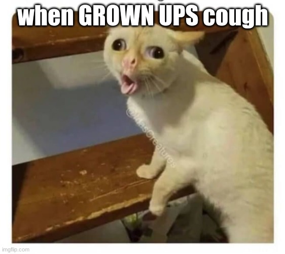 Coughing Cat | when GROWN UPS cough | image tagged in coughing cat | made w/ Imgflip meme maker
