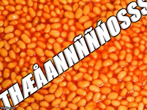 BeAnS | THÆÅANNÑÑŃOSSŚ | image tagged in beans | made w/ Imgflip meme maker