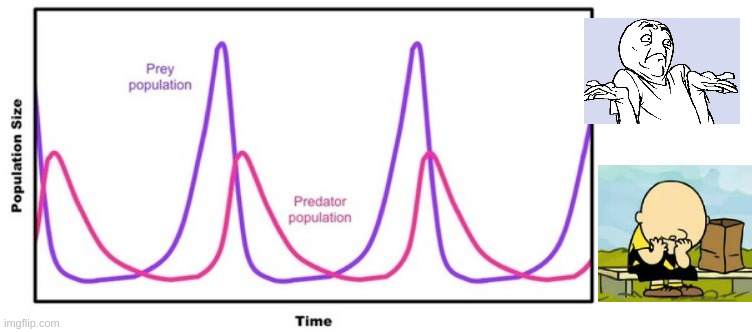 Population curve | image tagged in population curve | made w/ Imgflip meme maker