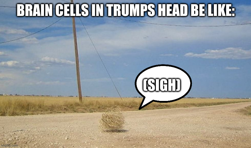 Tumbleweed | BRAIN CELLS IN TRUMPS HEAD BE LIKE:; (SIGH) | image tagged in tumbleweed | made w/ Imgflip meme maker