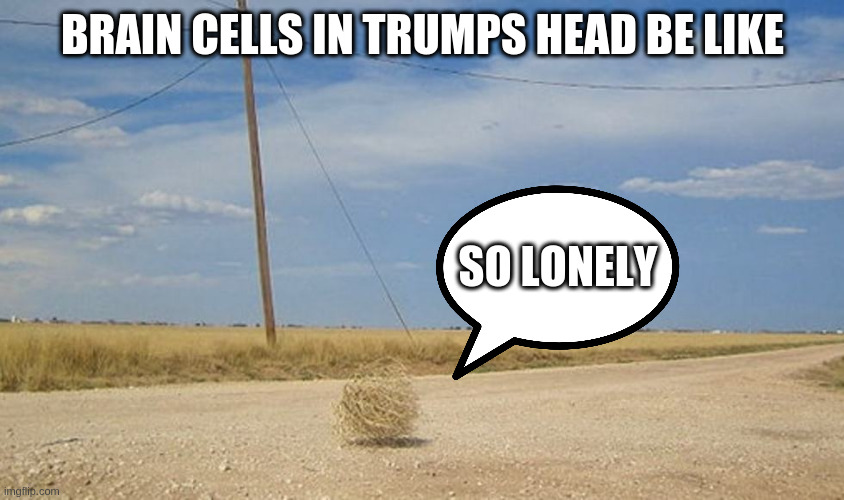 Tumbleweed | BRAIN CELLS IN TRUMPS HEAD BE LIKE; SO LONELY | image tagged in tumbleweed | made w/ Imgflip meme maker
