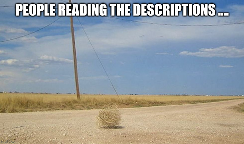 Tumbleweed | PEOPLE READING THE DESCRIPTIONS .... | image tagged in tumbleweed | made w/ Imgflip meme maker