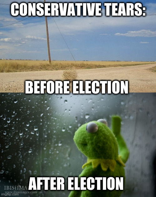 CONSERVATIVE TEARS:; BEFORE ELECTION; AFTER ELECTION | image tagged in tumbleweed,kermit window | made w/ Imgflip meme maker