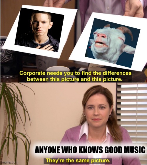 I don't see a difference ??‍♀ | ANYONE WHO KNOWS GOOD MUSIC | image tagged in memes,they're the same picture,eminem,the goat,gifs,rap music | made w/ Imgflip meme maker