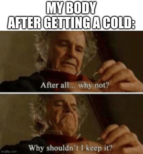 I had no ideas | MY BODY AFTER GETTING A COLD: | image tagged in why shouldn't i keep it,memes,funny | made w/ Imgflip meme maker