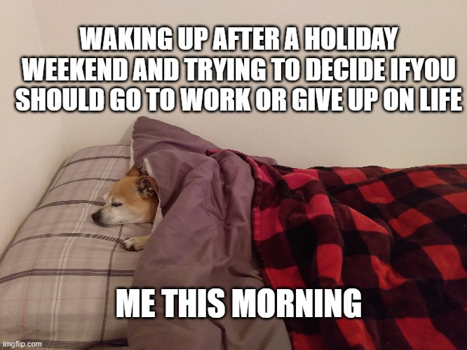 Monday after holiday | WAKING UP AFTER A HOLIDAY WEEKEND AND TRYING TO DECIDE IFYOU SHOULD GO TO WORK OR GIVE UP ON LIFE; ME THIS MORNING | image tagged in mondays | made w/ Imgflip meme maker