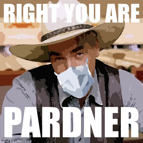 Do meme subjects have no say over how they’re portrayed? Well yes but actually no | RIGHT YOU ARE; PARDNER | image tagged in sarcasm cowboy with face mask,memes about memes,memes about memeing,memes,law,sam elliott | made w/ Imgflip meme maker