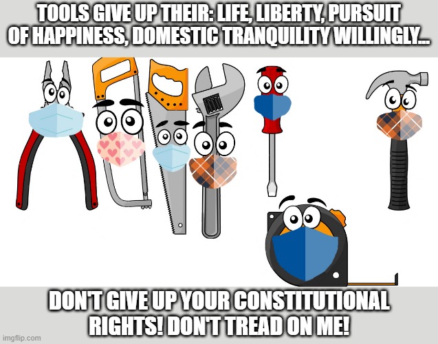 Tools give up! | TOOLS GIVE UP THEIR: LIFE, LIBERTY, PURSUIT OF HAPPINESS, DOMESTIC TRANQUILITY WILLINGLY... DON'T GIVE UP YOUR CONSTITUTIONAL RIGHTS! DON'T TREAD ON ME! | image tagged in life,liberty,happiness,domestic tranquility,don't tread on me | made w/ Imgflip meme maker