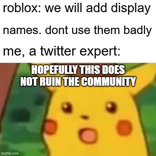 the twitter experts about this damn update | roblox: we will add display; names. dont use them badly; me, a twitter expert:; HOPEFULLY THIS DOES NOT RUIN THE COMMUNITY | image tagged in memes,surprised pikachu | made w/ Imgflip meme maker