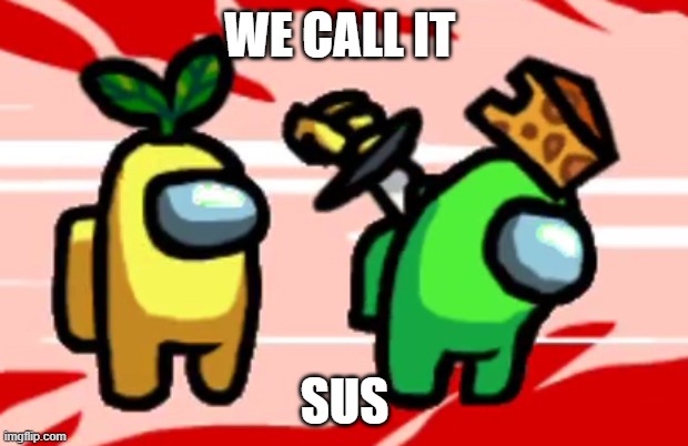 Among Us Stab | WE CALL IT SUS | image tagged in among us stab | made w/ Imgflip meme maker