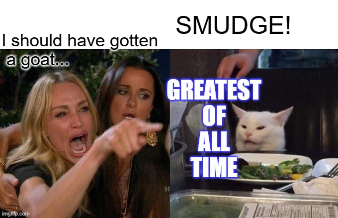 Woman Yelling At Cat | SMUDGE! I should have gotten
 a goat... GREATEST
OF
ALL
TIME | image tagged in memes,woman yelling at cat | made w/ Imgflip meme maker