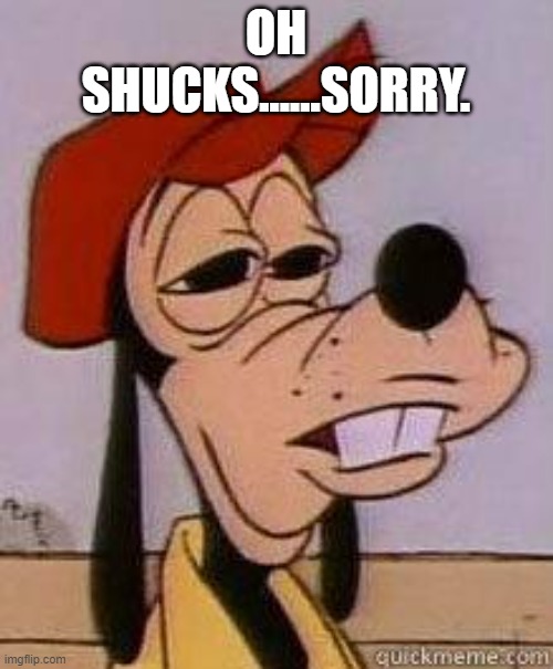 Stoned goofy | OH SHUCKS......SORRY. | image tagged in stoned goofy | made w/ Imgflip meme maker