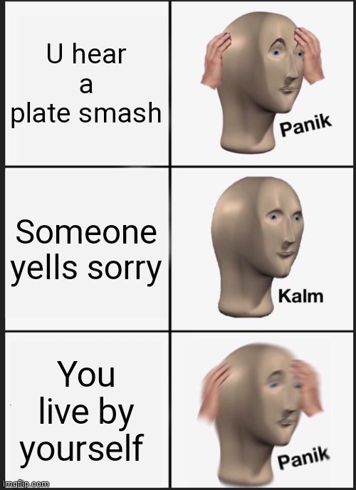 Panik Kalm Panik | U hear a plate smash; Someone yells sorry; You live by yourself | image tagged in memes,panik kalm panik | made w/ Imgflip meme maker