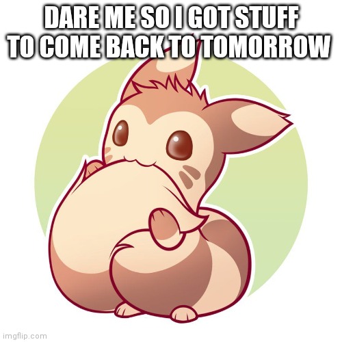 Cute ferret | DARE ME SO I GOT STUFF TO COME BACK TO TOMORROW | image tagged in cute ferret | made w/ Imgflip meme maker