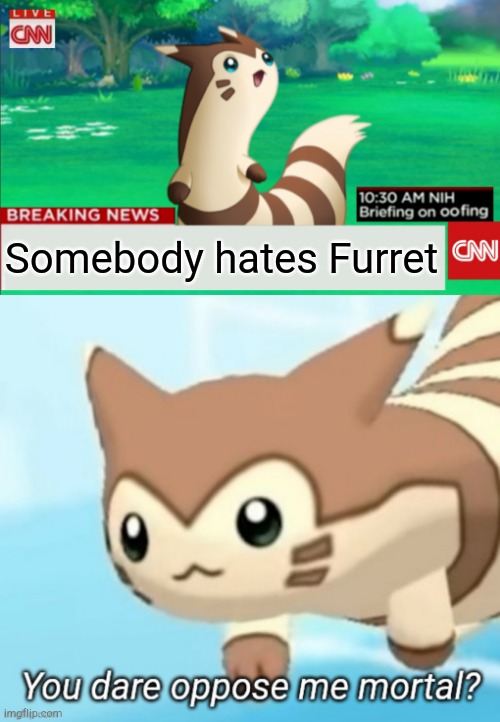 Somebody hates Furret | image tagged in breaking news furret,furret you dare oppose me mortal | made w/ Imgflip meme maker