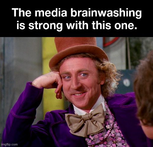 Media Brainwashing | image tagged in mainstream media,brainwashing,social media,programming | made w/ Imgflip meme maker