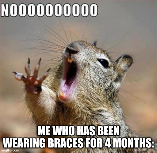 noooooooooooooooooooooooo | ME WHO HAS BEEN WEARING BRACES FOR 4 MONTHS: | image tagged in noooooooooooooooooooooooo | made w/ Imgflip meme maker