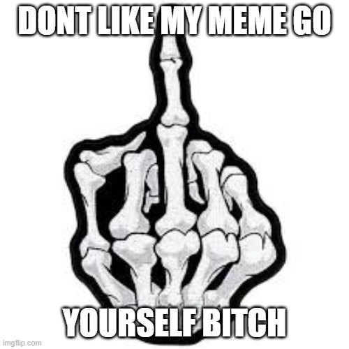 just go | DONT LIKE MY MEME GO; YOURSELF BITCH | image tagged in f you | made w/ Imgflip meme maker