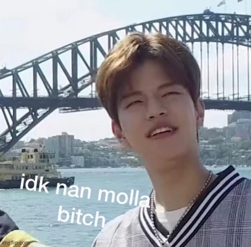 I don't know nan molla bitch | image tagged in i don't know nan molla bitch | made w/ Imgflip meme maker