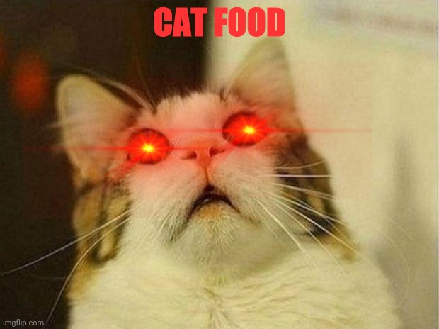 Angreeee | CAT FOOD | image tagged in memes,scared cat | made w/ Imgflip meme maker
