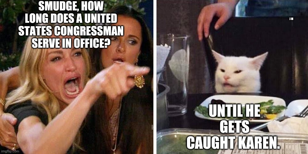 Smudge the cat | SMUDGE, HOW LONG DOES A UNITED STATES CONGRESSMAN SERVE IN OFFICE? J M; UNTIL HE GETS CAUGHT KAREN. | image tagged in smudge the cat | made w/ Imgflip meme maker