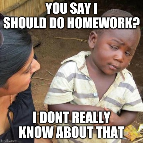 i dont know about that | YOU SAY I SHOULD DO HOMEWORK? I DONT REALLY KNOW ABOUT THAT | image tagged in memes,third world skeptical kid | made w/ Imgflip meme maker