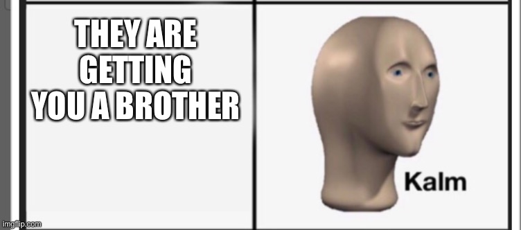 THEY ARE GETTING YOU A BROTHER | made w/ Imgflip meme maker