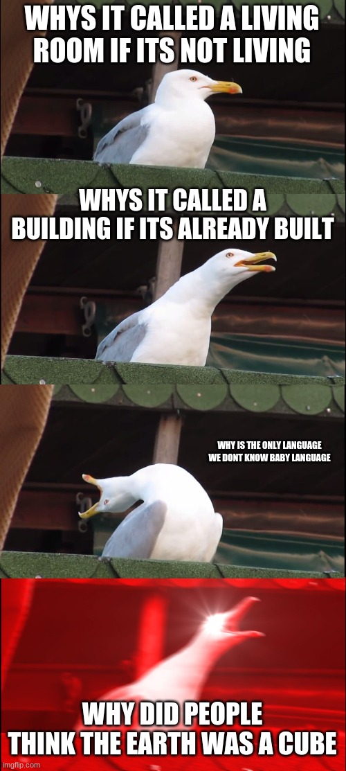 Inhaling Seagull | WHYS IT CALLED A LIVING ROOM IF ITS NOT LIVING; WHYS IT CALLED A BUILDING IF ITS ALREADY BUILT; WHY IS THE ONLY LANGUAGE WE DONT KNOW BABY LANGUAGE; WHY DID PEOPLE THINK THE EARTH WAS A CUBE | image tagged in memes,inhaling seagull | made w/ Imgflip meme maker