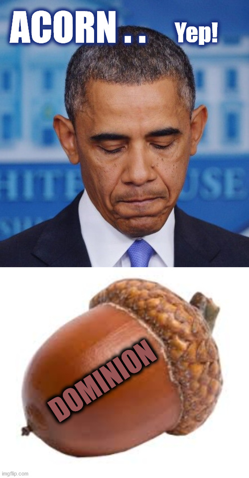 Obama's ACORN (look it up) | ACORN . . Yep! DOMINION | image tagged in disappointed obama,acorn,dominion,dominion voting systems | made w/ Imgflip meme maker