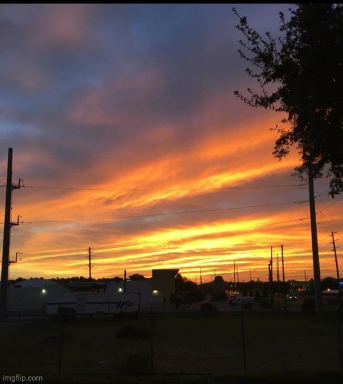 Blazing Sunrise | image tagged in florida,sunrise,photo | made w/ Imgflip meme maker