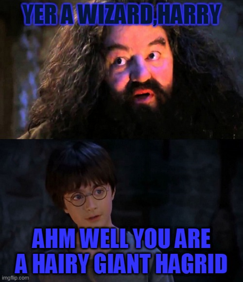 yer a hairy giant hagrid | YER A WIZARD,HARRY; AHM WELL YOU ARE A HAIRY GIANT HAGRID | image tagged in you are wizzard harry | made w/ Imgflip meme maker